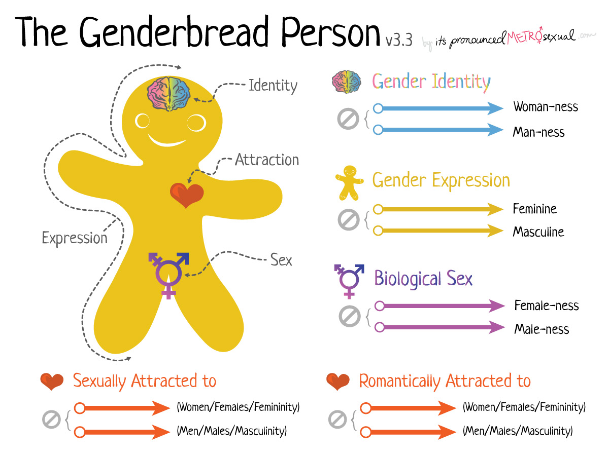 Genderbread Person diagram